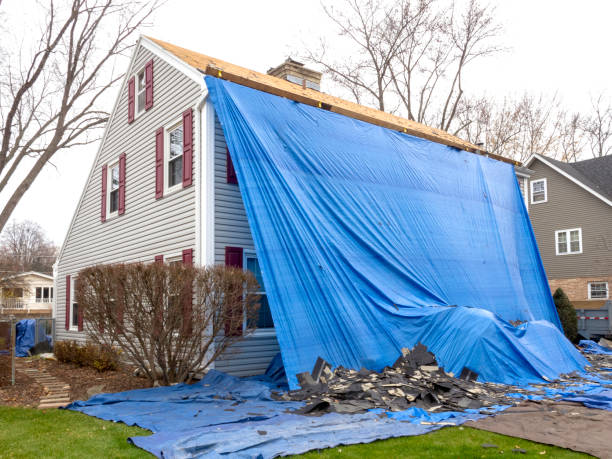 Best Insulated Siding Installation  in Samson, AL