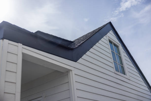 Best Custom Trim and Detailing for Siding  in Samson, AL